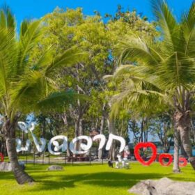 บึงฉวาก สุพรรณบุรี