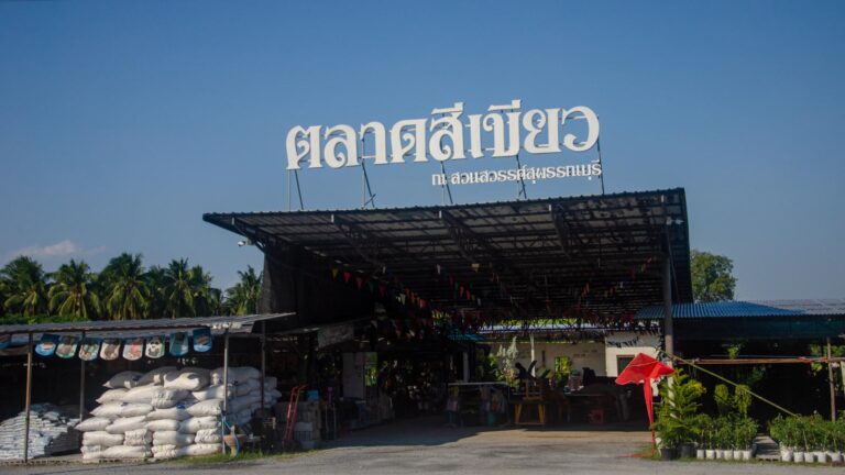 ตลาดสีเขียว green market